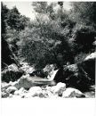 Clicca per fare lo zoom 262.jpg